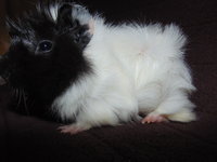 DSC00242.JPG