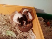 IMG_95911398861957.jpeg