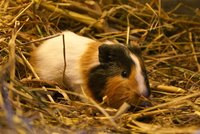 DSC02539.JPG