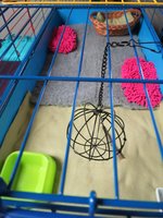 IMG_0143.JPG
