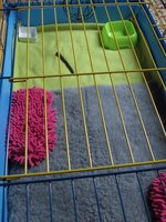IMG_0157.JPG