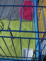 IMG_0167.JPG