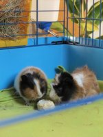 IMG_0048.JPG