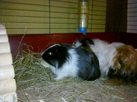 20110131063.jpg