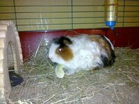20110131064.jpg