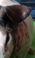 20150622_103306.jpg