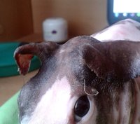 20150622_103340.jpg