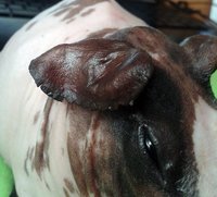 20150622_103347.jpg