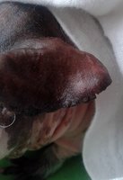 20150622_104249.jpg