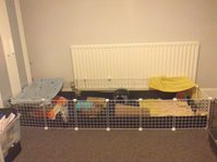 IMG_0508.JPG