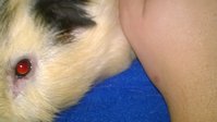 WP_20151102_19_57_31_Pro.jpg
