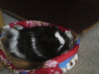 IMG_20150708_161929.jpg (725.16 KiB) Przejrzano 1836 razy IMG_20150708_161929.jpg