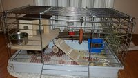 2016-02-07 16.47.54.jpg