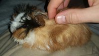 2016-02-07 16.48.57.jpg