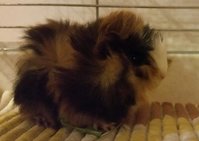 2016-02-07 19.04.50.jpg