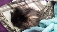 20160206_161010.jpg