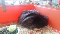 20160207_161222.jpg