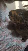 20160215_102605.jpg