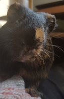 20160215_102628.jpg