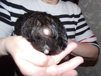 IMG_1444.JPG