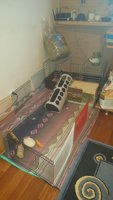 20160306_161953.jpg