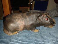 20160406_074830.jpg