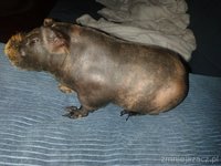 20160406_074818.jpg