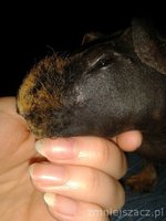 20160406_074802.jpg