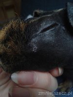 20160406_074721.jpg