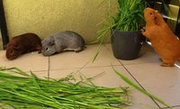 P1060586aa.jpg