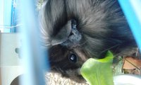 20160612_114252.jpg