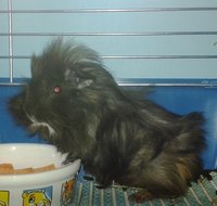 20160615_153447.jpg