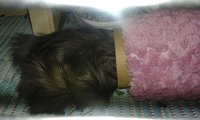 20160615_143619.jpg