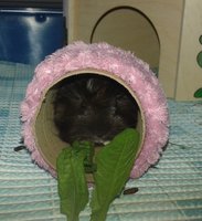 20160615_152322.jpg