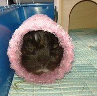 20160617_094353.jpg