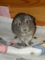 DSCN8877.JPG