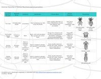 external-parasites-of-guinea-pig2.jpg