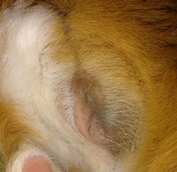 20160901_172219-1.jpg