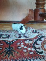 DSC01109.JPG