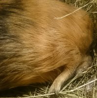 _20161201_200923.JPG