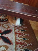 DSC01105.JPG