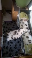 WP_20161203_002.jpg