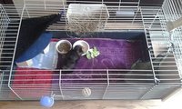 20170305_125539.jpg