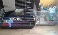 20170305_125642.jpg