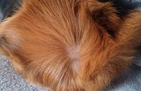 20170320_150745.jpg (724.4 KiB) Przejrzano 2620 razy 20170320_150745.jpg