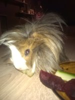 IMAG0162.jpg