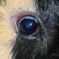 20170912_OP.jpg (43.21 KiB) Przejrzano 5545 razy 20170912_OP.jpg