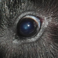 20170912_OL.jpg (42.03 KiB) Przejrzano 5545 razy 20170912_OL.jpg