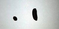 20180210_165554.jpg