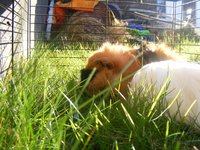 DSCF0767.jpg